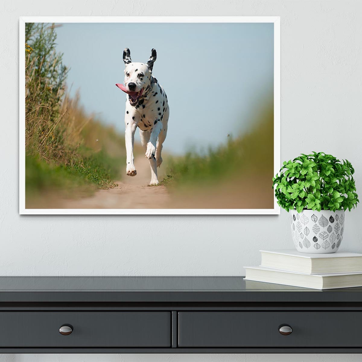 Front View of Exuberant Dalmatian Dog Running Framed Print - Canvas Art Rocks -6