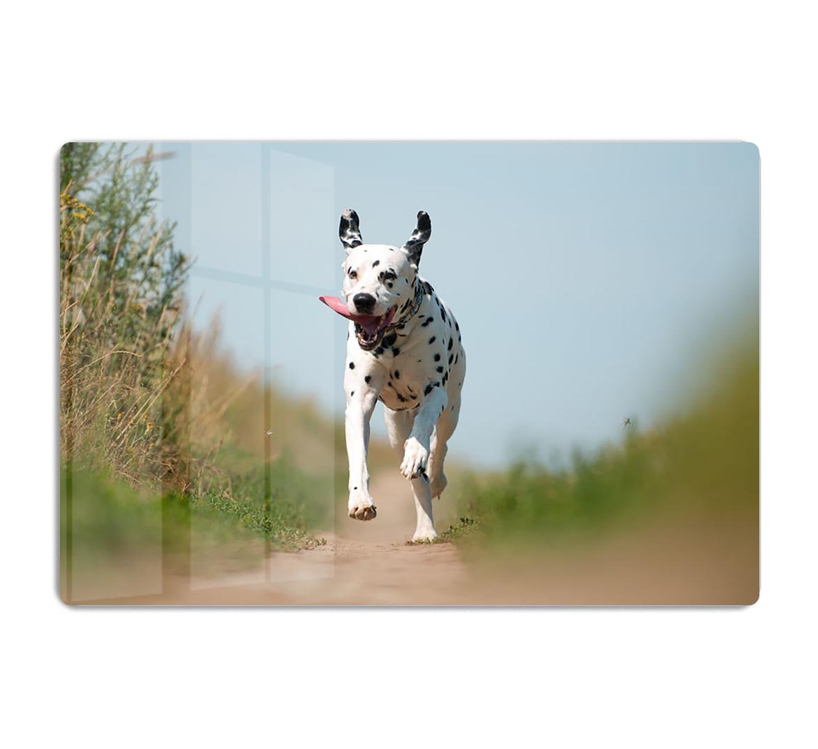 Front View of Exuberant Dalmatian Dog Running HD Metal Print - Canvas Art Rocks - 1