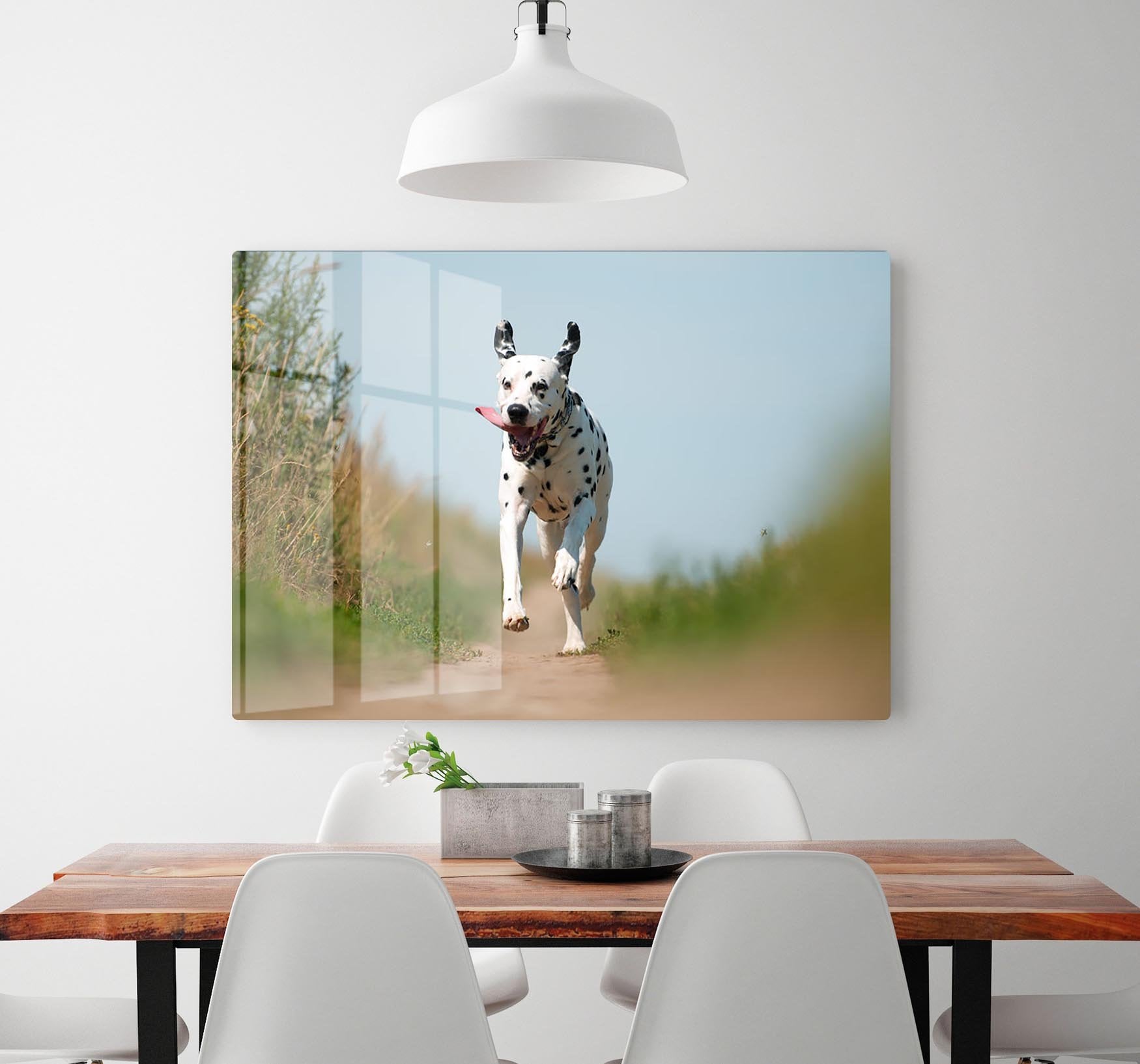 Front View of Exuberant Dalmatian Dog Running HD Metal Print - Canvas Art Rocks - 2
