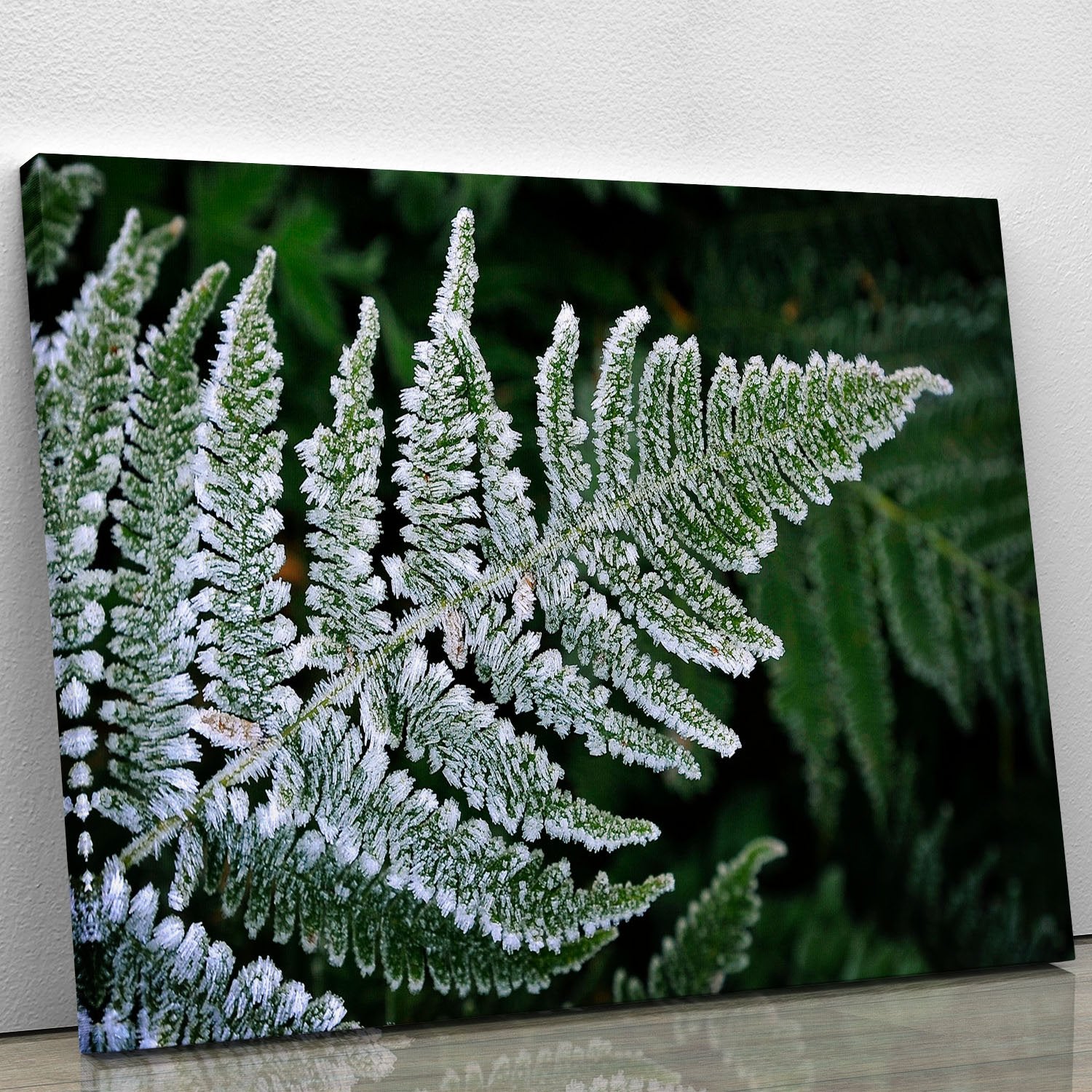 Frosty Fern Canvas Print or Poster