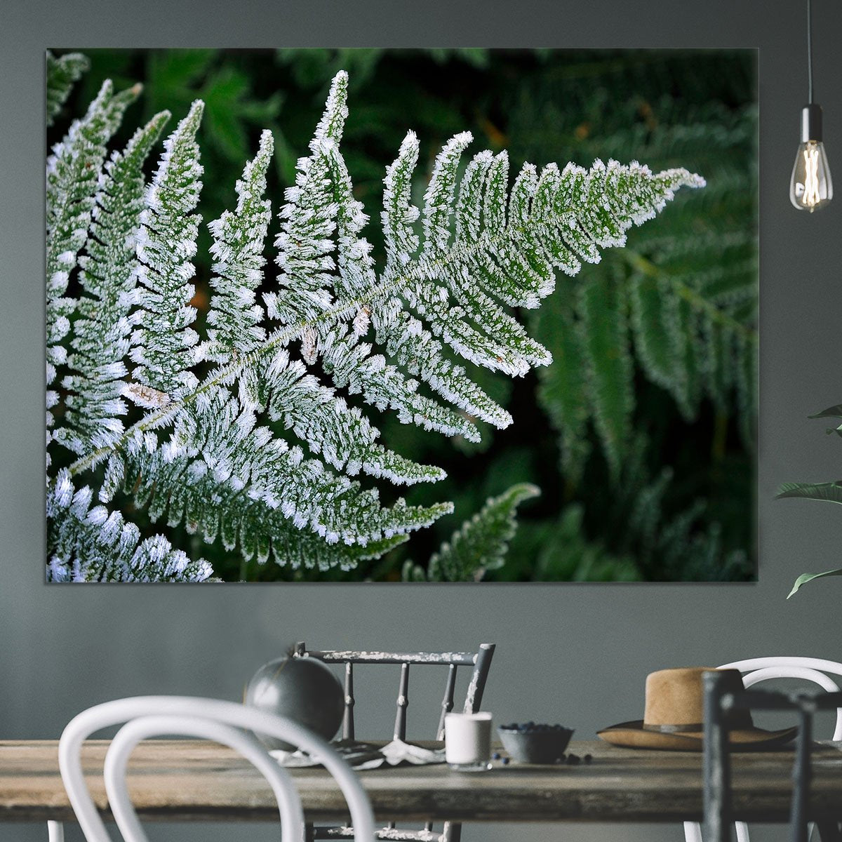 Frosty Fern Canvas Print or Poster