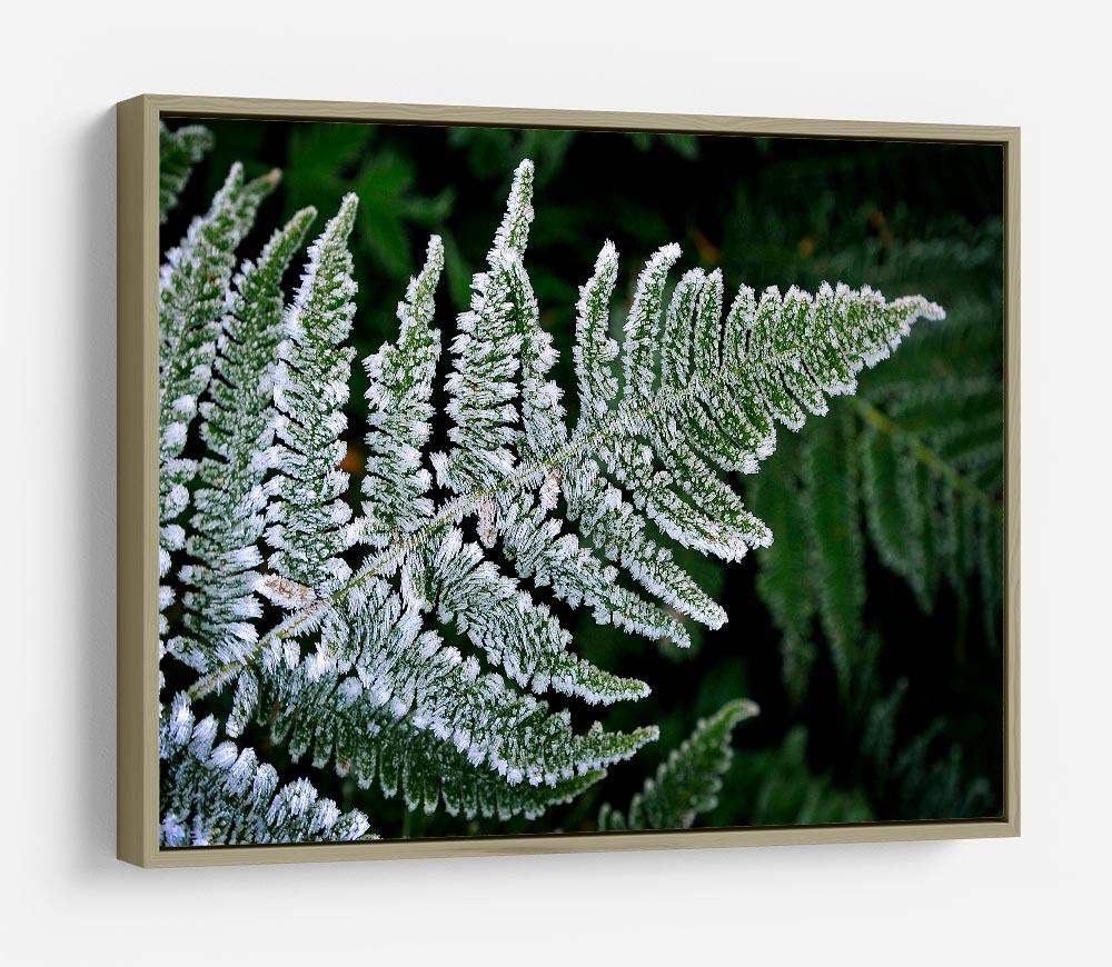 Frosty Fern HD Metal Print - Canvas Art Rocks - 8