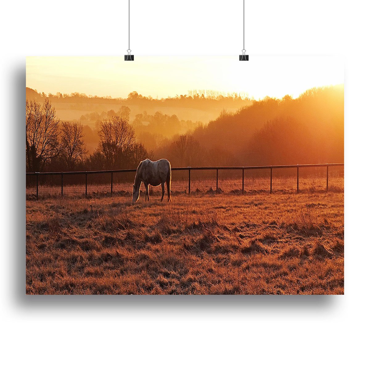 Frosty Morning Canvas Print or Poster