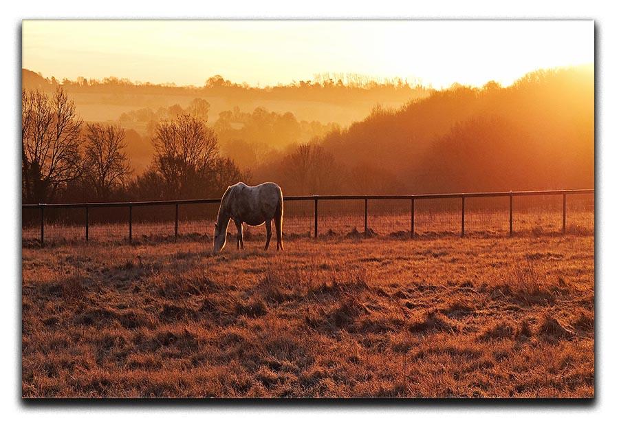 Frosty Morning Canvas Print or Poster - Canvas Art Rocks - 1