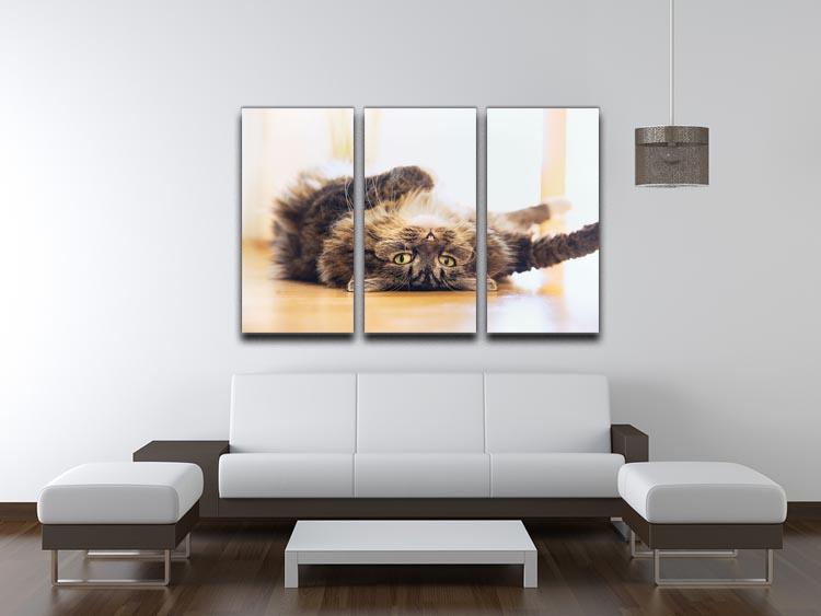 Funny cat is lying relaxed on his back 3 Split Panel Canvas Print - Canvas Art Rocks - 3