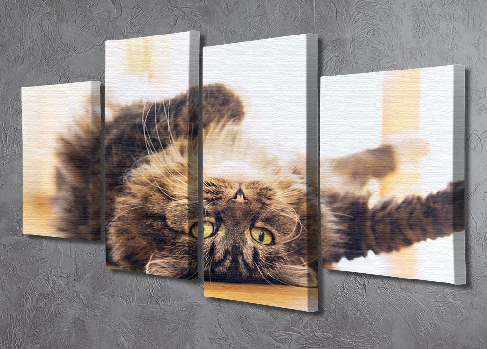 Funny cat is lying relaxed on his back 4 Split Panel Canvas - Canvas Art Rocks - 2