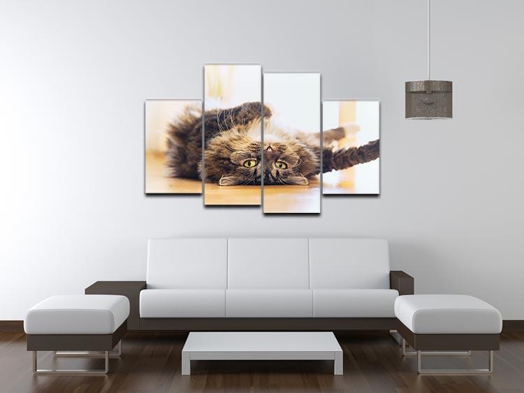 Funny cat is lying relaxed on his back 4 Split Panel Canvas - Canvas Art Rocks - 3