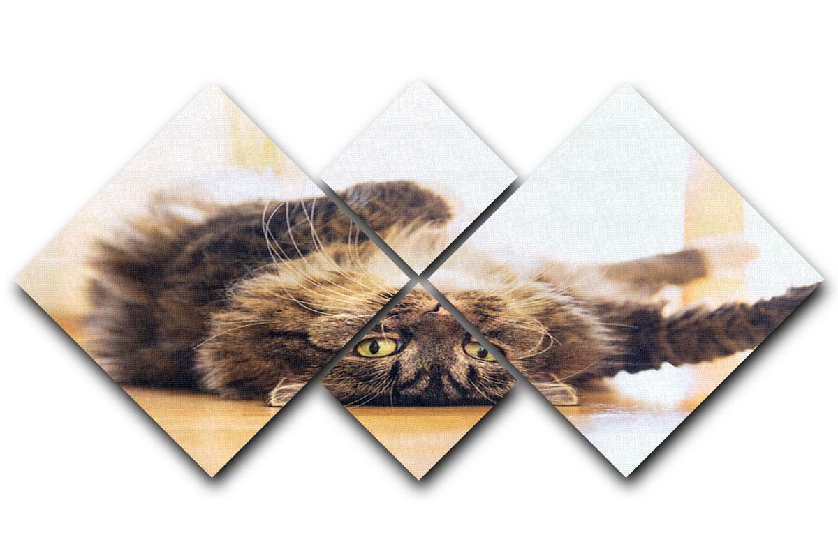 Funny cat is lying relaxed on his back 4 Square Multi Panel Canvas - Canvas Art Rocks - 1