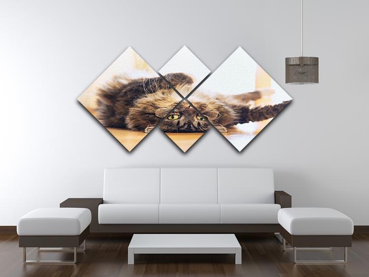 Funny cat is lying relaxed on his back 4 Square Multi Panel Canvas - Canvas Art Rocks - 3