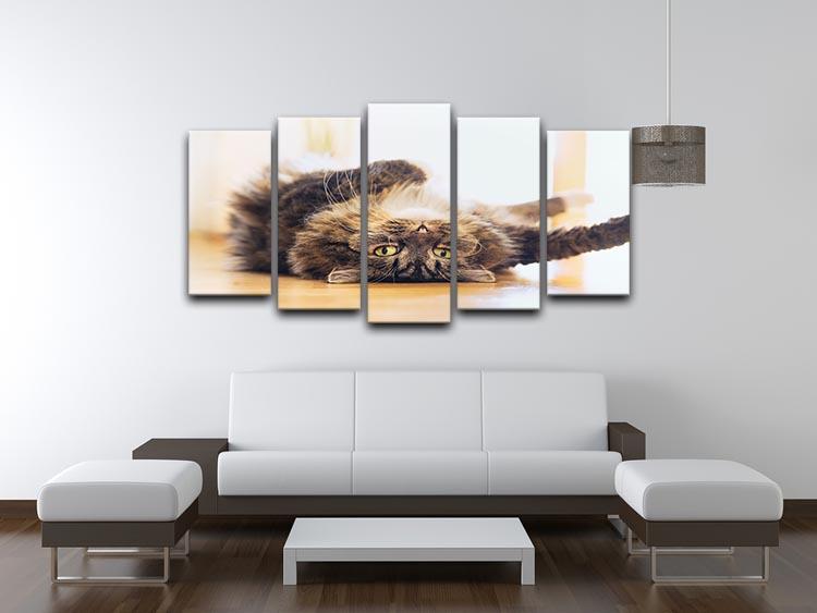 Funny cat is lying relaxed on his back 5 Split Panel Canvas - Canvas Art Rocks - 3