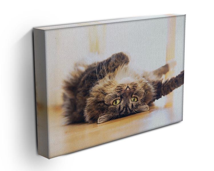 Funny cat is lying relaxed on his back Canvas Print or Poster - Canvas Art Rocks - 3