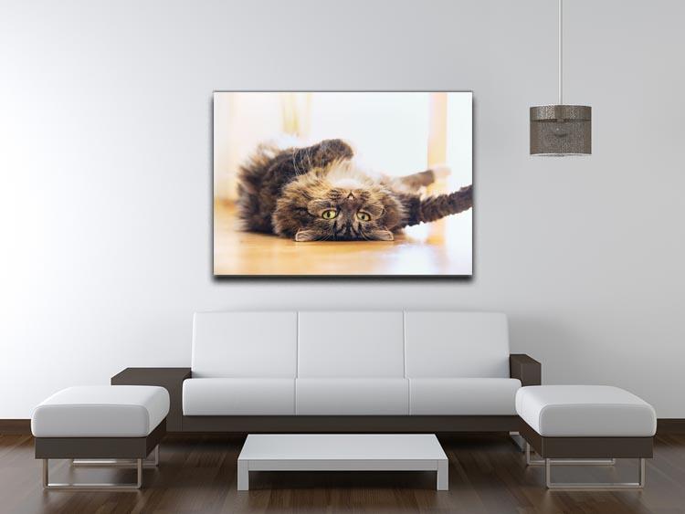 Funny cat is lying relaxed on his back Canvas Print or Poster - Canvas Art Rocks - 4