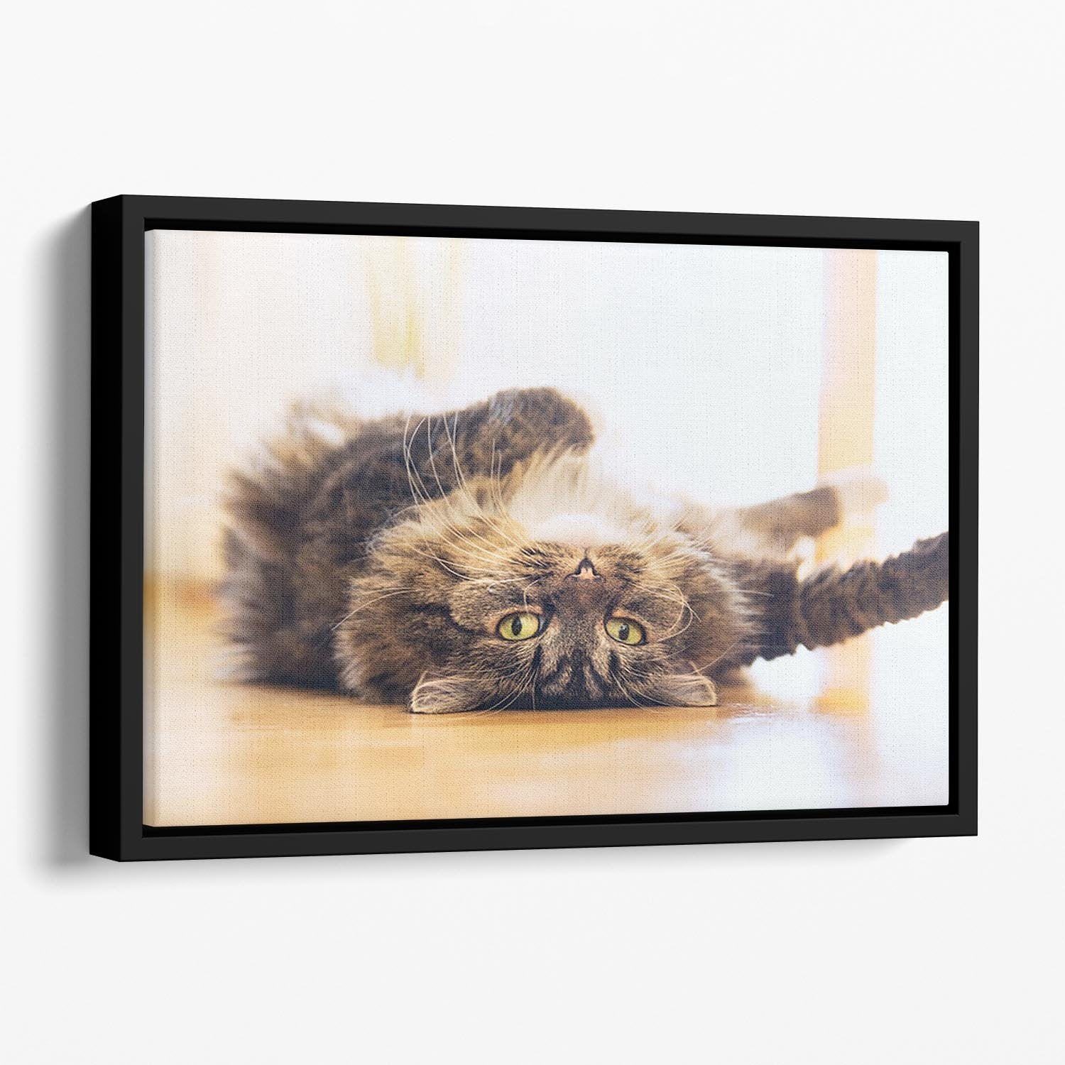 Funny cat is lying relaxed on his back Floating Framed Canvas - Canvas Art Rocks - 1