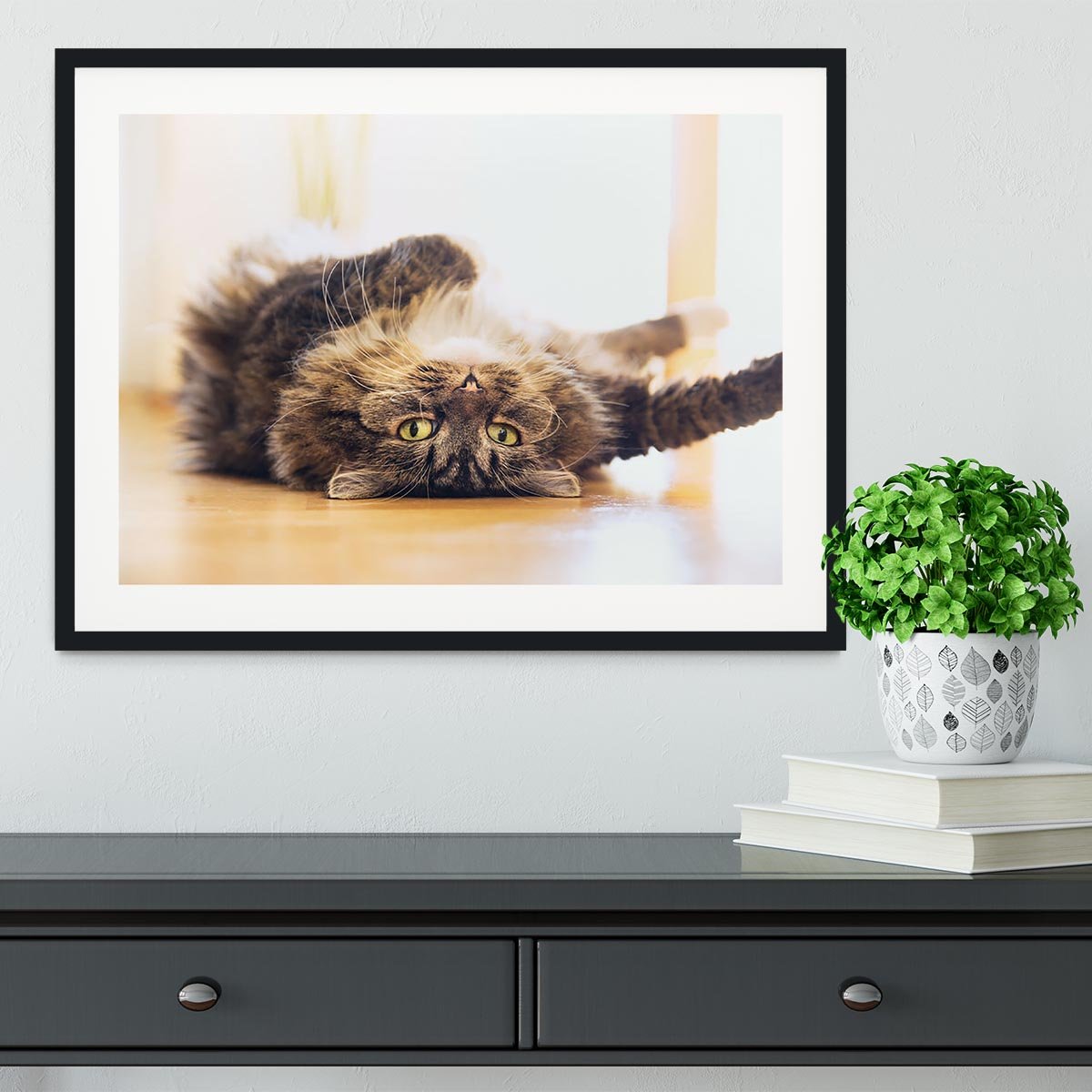Funny cat is lying relaxed on his back Framed Print - Canvas Art Rocks - 1