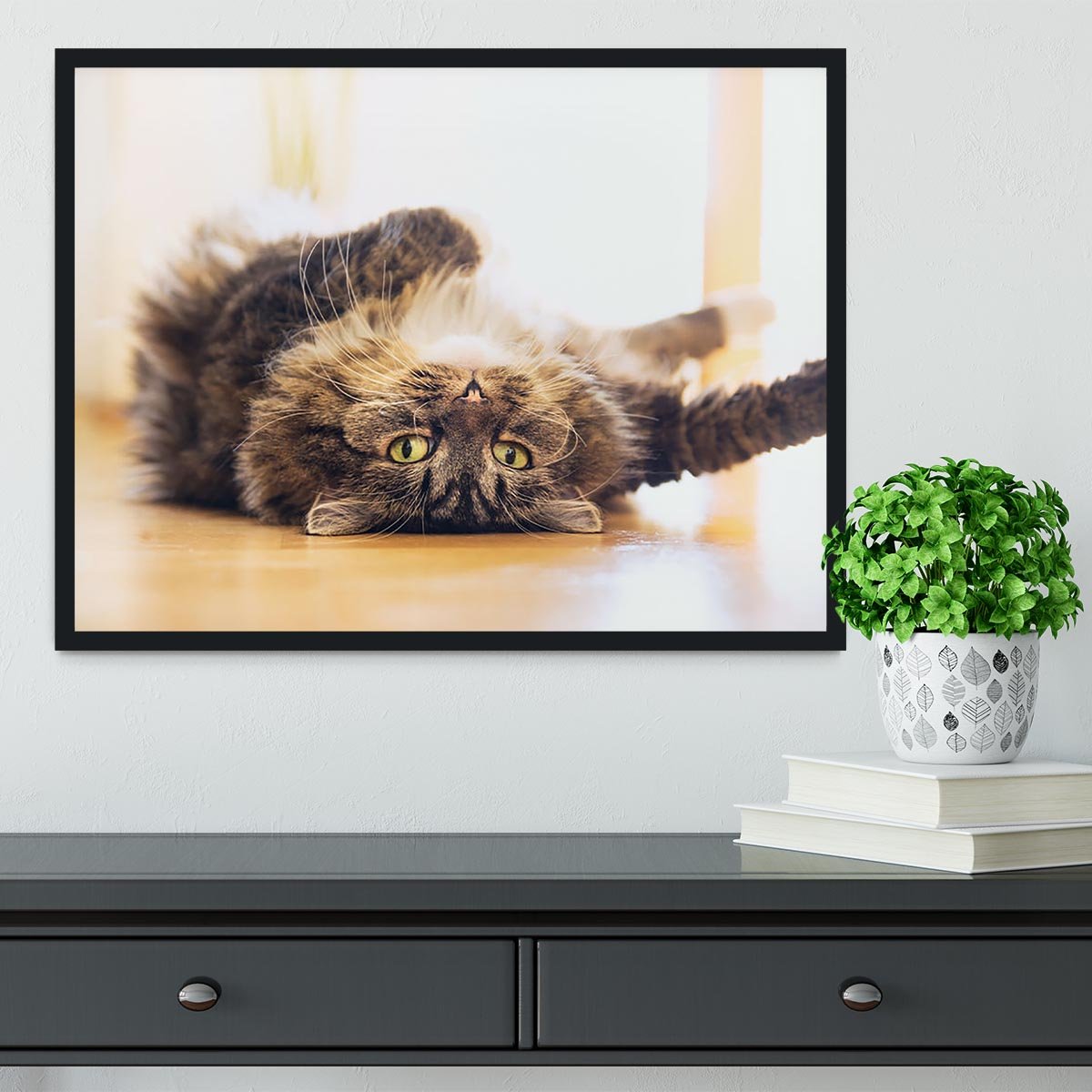 Funny cat is lying relaxed on his back Framed Print - Canvas Art Rocks - 2
