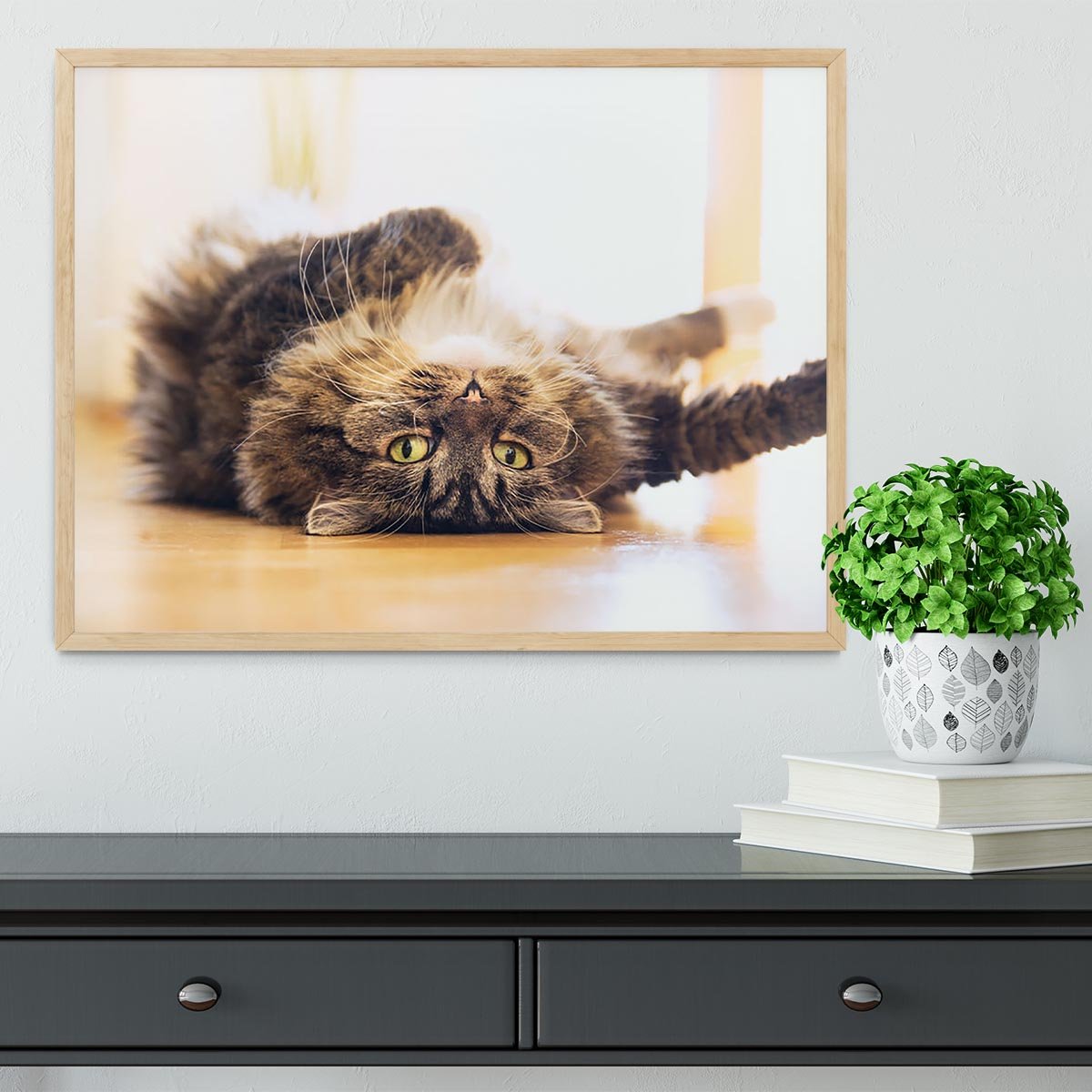 Funny cat is lying relaxed on his back Framed Print - Canvas Art Rocks - 4