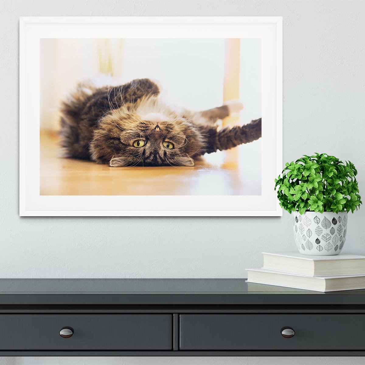 Funny cat is lying relaxed on his back Framed Print - Canvas Art Rocks - 5
