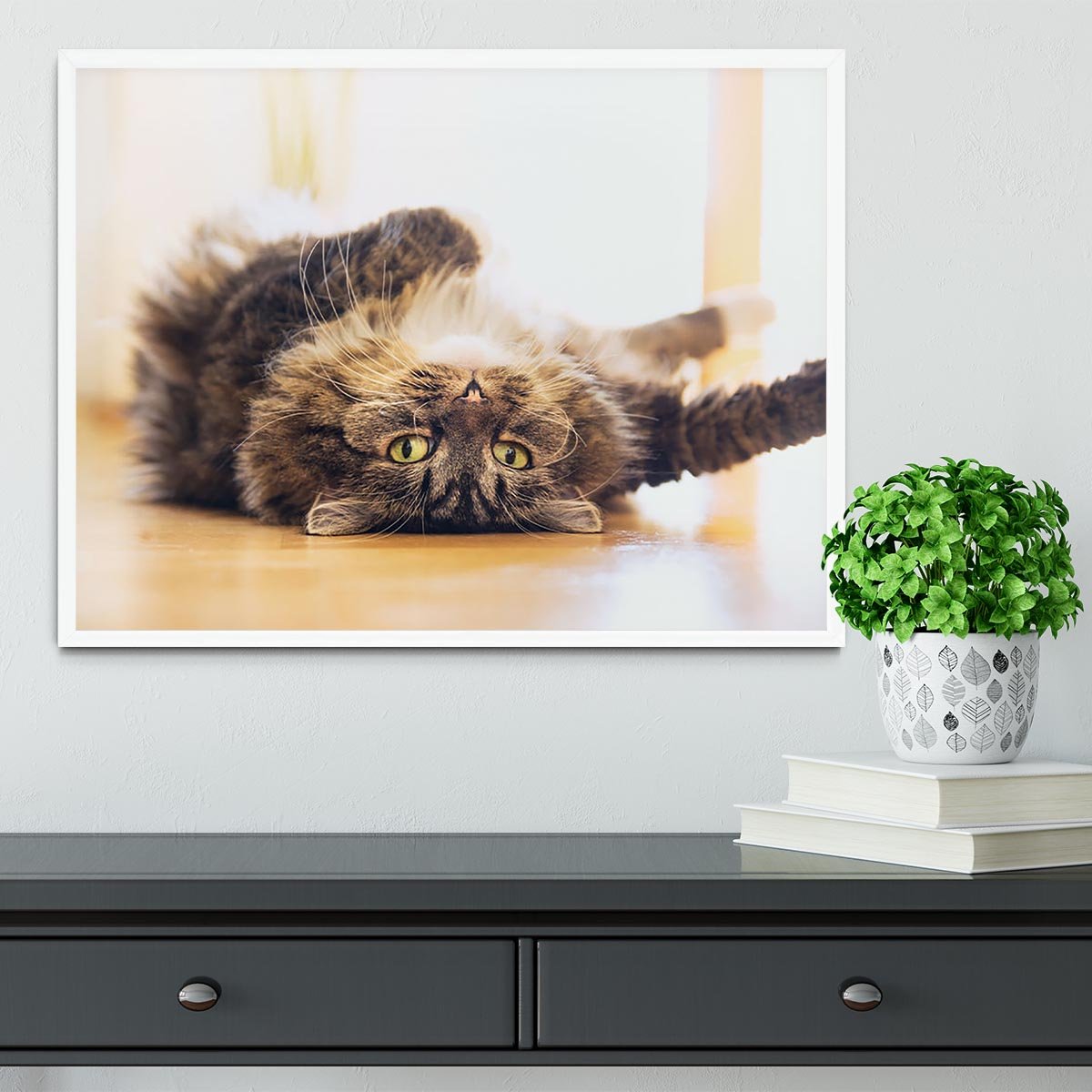 Funny cat is lying relaxed on his back Framed Print - Canvas Art Rocks -6