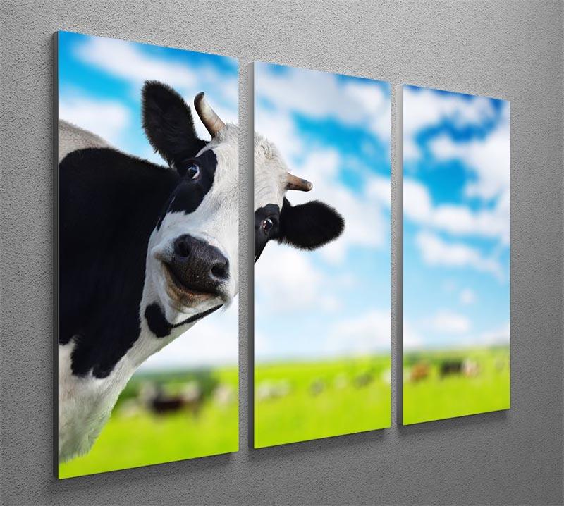 Funny cow looking at a camera 3 Split Panel Canvas Print - Canvas Art Rocks - 2
