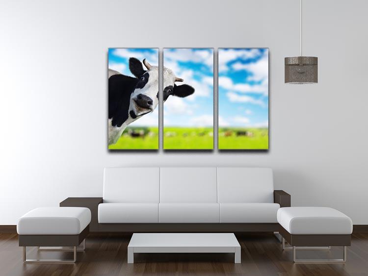 Funny cow looking at a camera 3 Split Panel Canvas Print - Canvas Art Rocks - 3