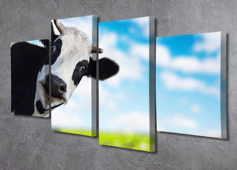 Funny cow looking at a camera 4 Split Panel Canvas - Canvas Art Rocks - 2
