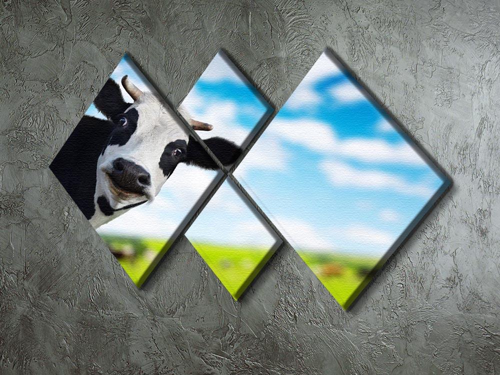 Funny cow looking at a camera 4 Square Multi Panel Canvas - Canvas Art Rocks - 2