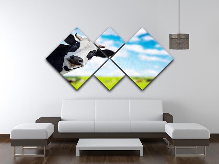 Funny cow looking at a camera 4 Square Multi Panel Canvas - Canvas Art Rocks - 3