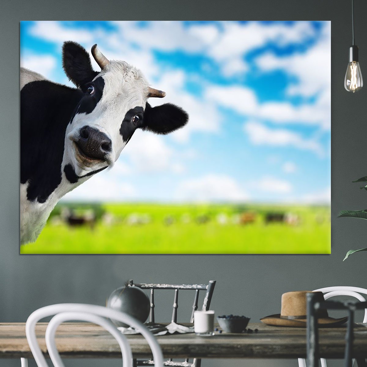 Funny cow looking at a camera Canvas Print or Poster