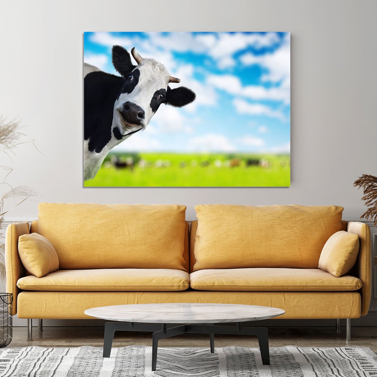 Funny cow looking at a camera Canvas Print or Poster