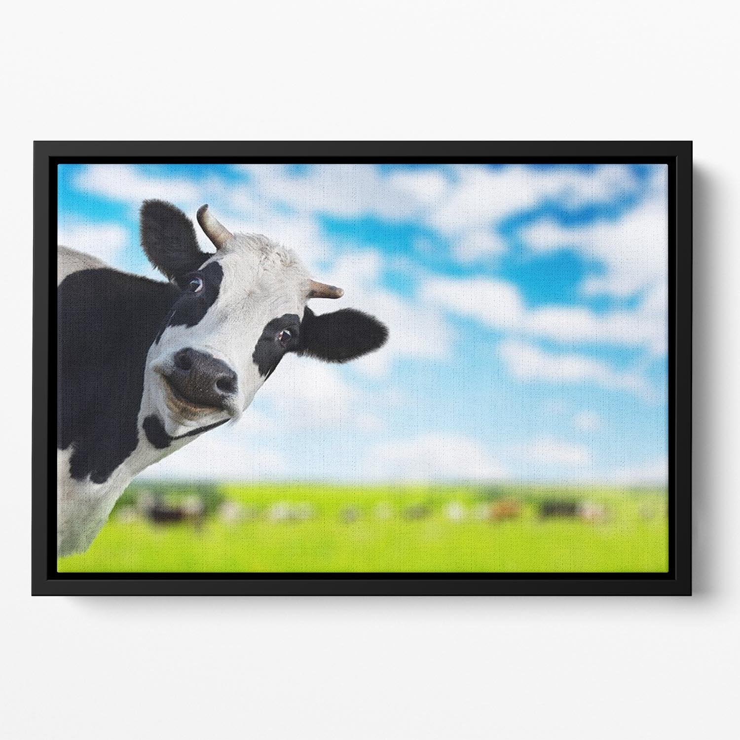 Funny cow looking at a camera Floating Framed Canvas - Canvas Art Rocks - 2