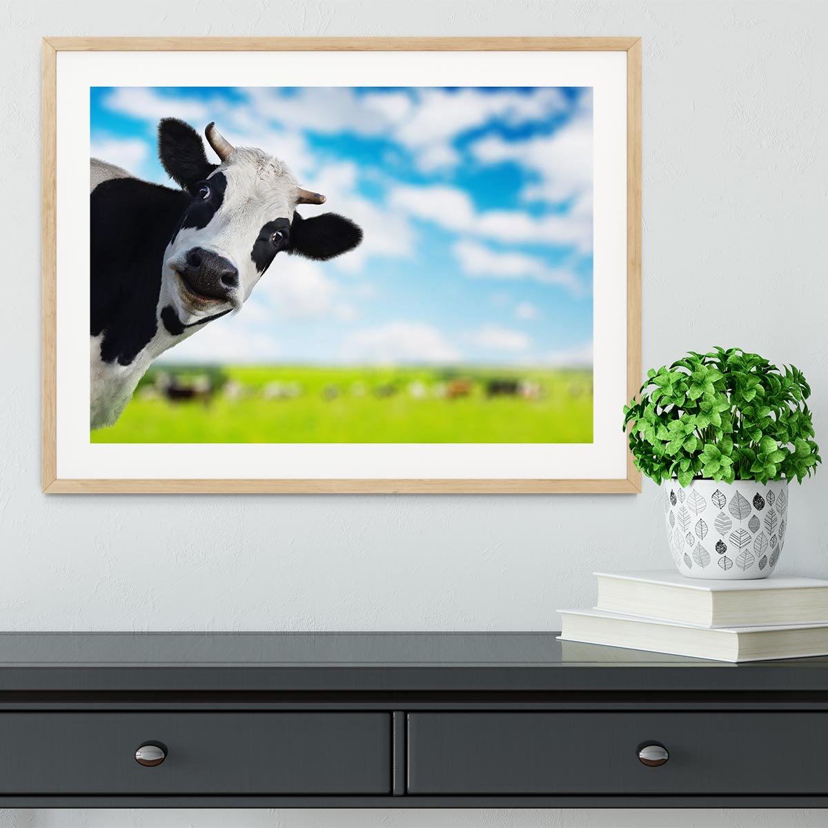 Funny cow looking at a camera Framed Print - Canvas Art Rocks - 3