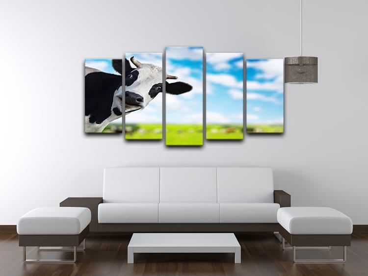 Funny cow looking to a camera 5 Split Panel Canvas - Canvas Art Rocks - 3
