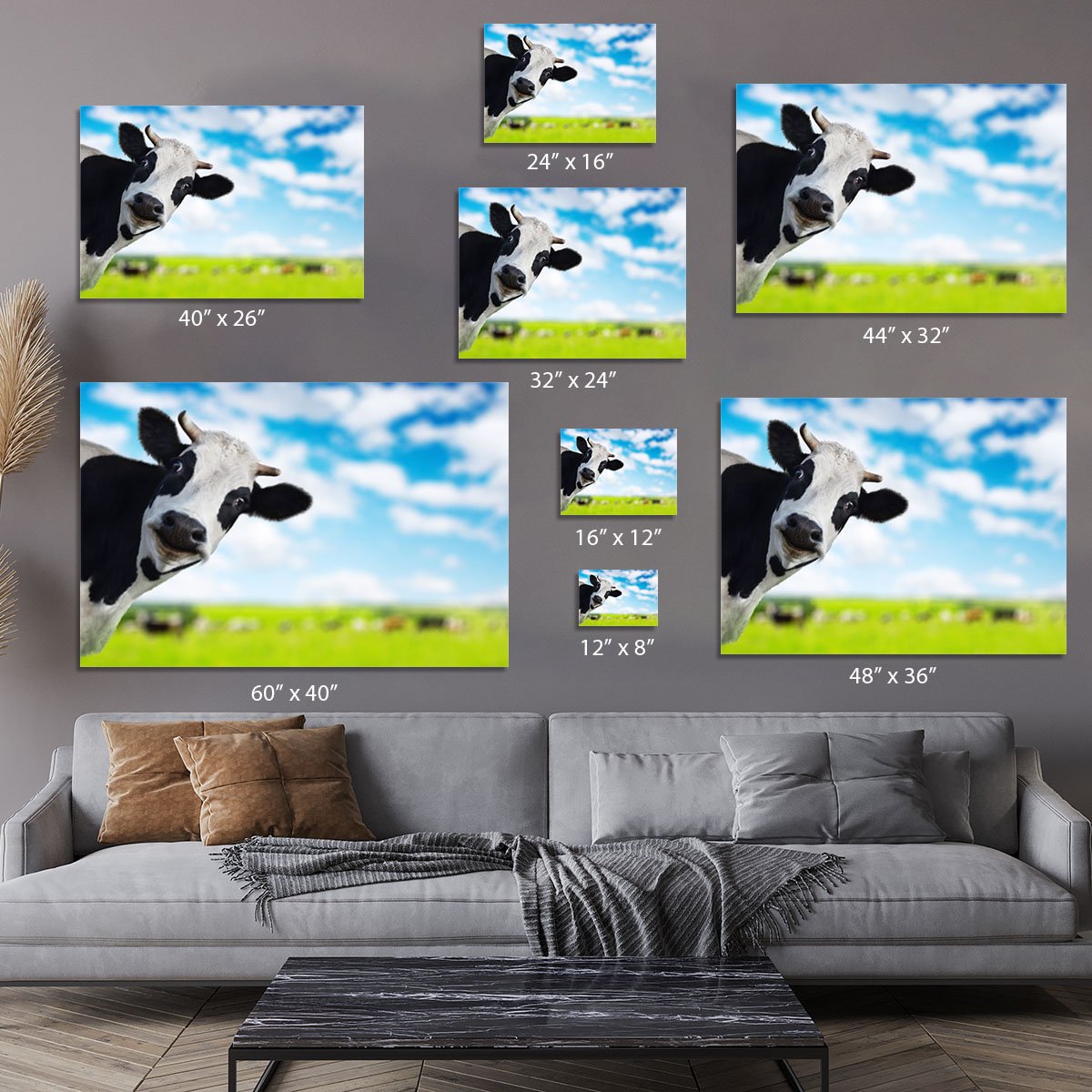 Funny cow looking to a camera Canvas Print or Poster