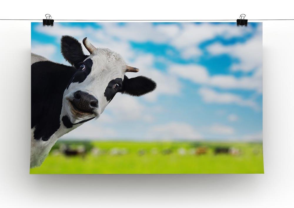 Funny cow looking to a camera Canvas Print or Poster - Canvas Art Rocks - 2