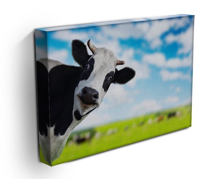 Funny cow looking to a camera Canvas Print or Poster - Canvas Art Rocks - 3