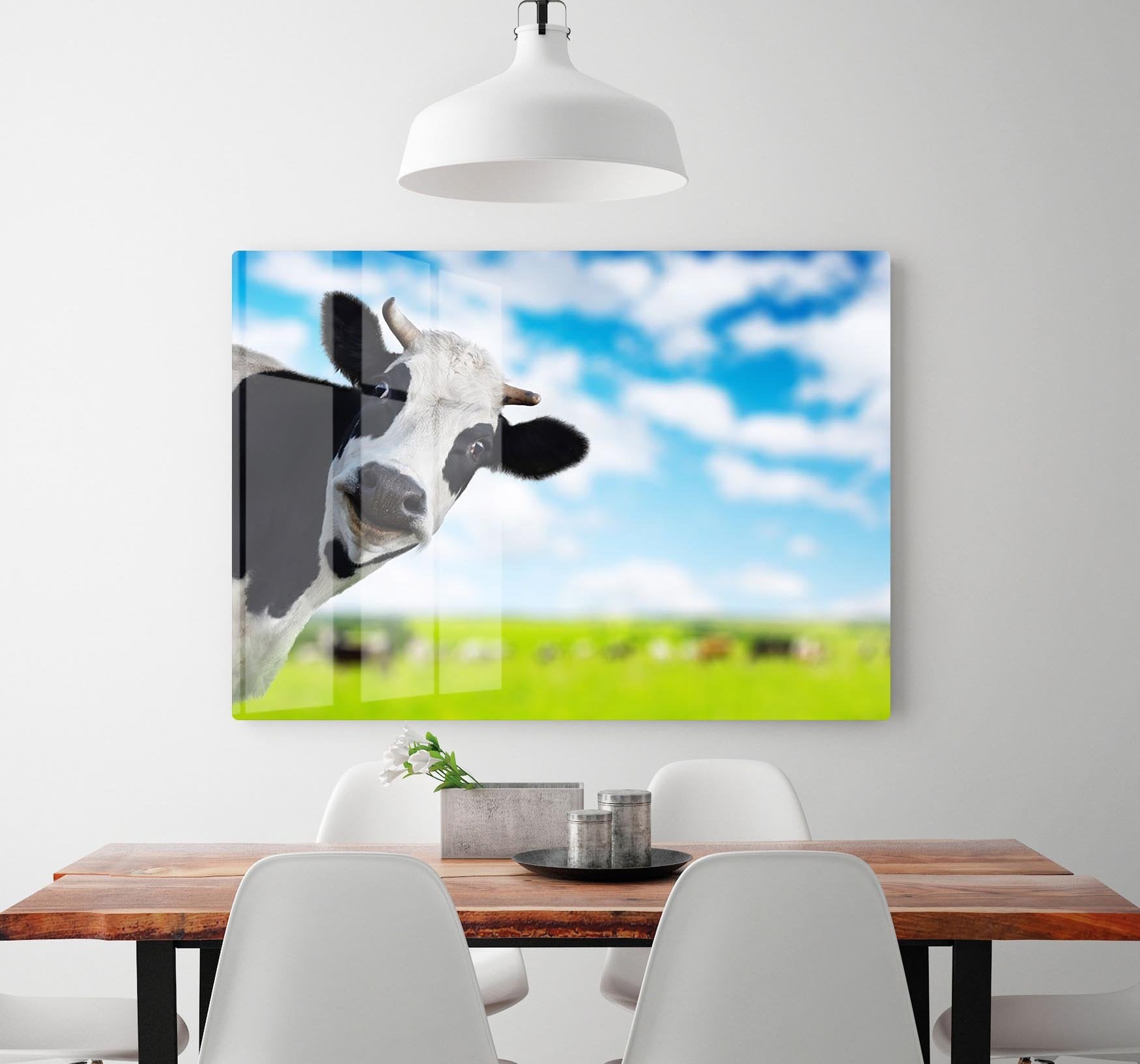 Funny cow looking to a camera HD Metal Print - Canvas Art Rocks - 2