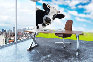 Funny cow looking to a camera Wall Mural Wallpaper - Canvas Art Rocks - 3