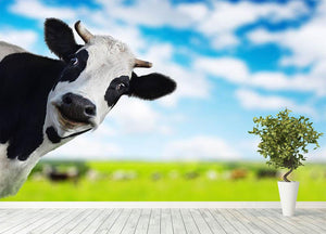 Funny cow looking to a camera Wall Mural Wallpaper - Canvas Art Rocks - 4