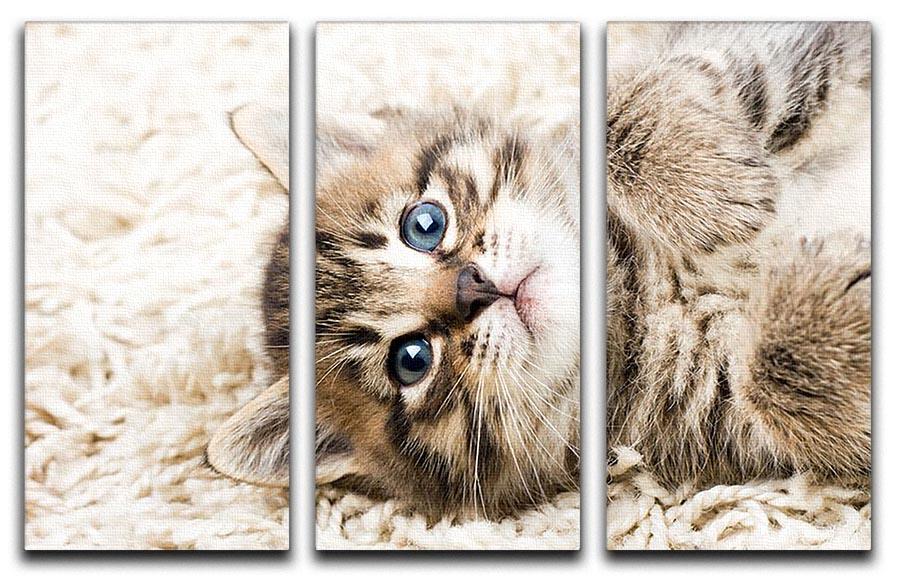 Funny kitten in carpet 3 Split Panel Canvas Print - Canvas Art Rocks - 1
