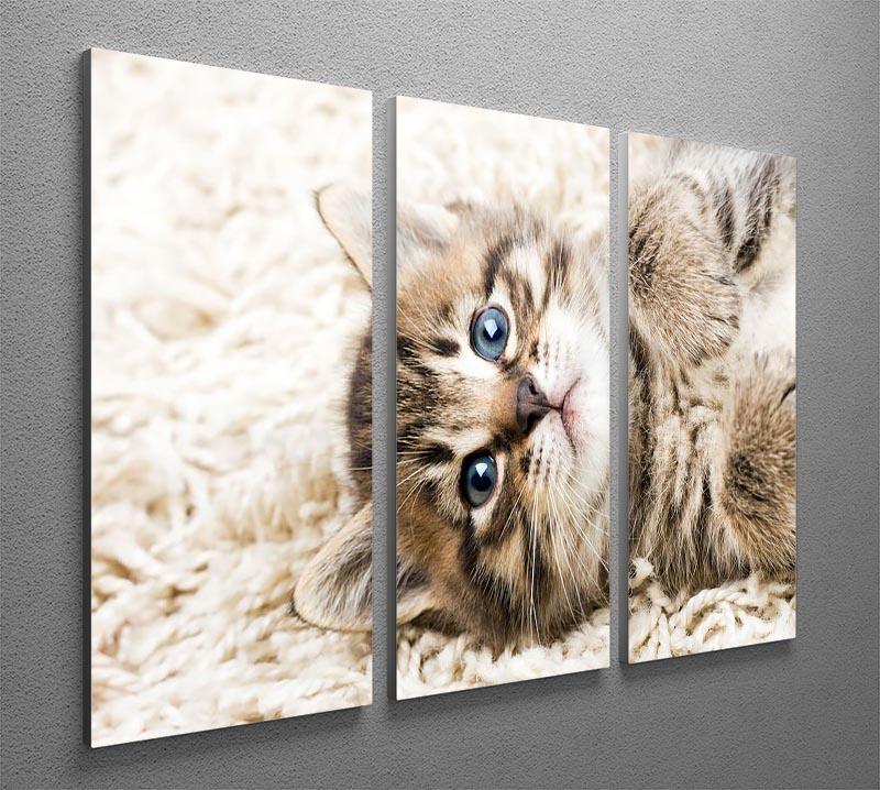 Funny kitten in carpet 3 Split Panel Canvas Print - Canvas Art Rocks - 2