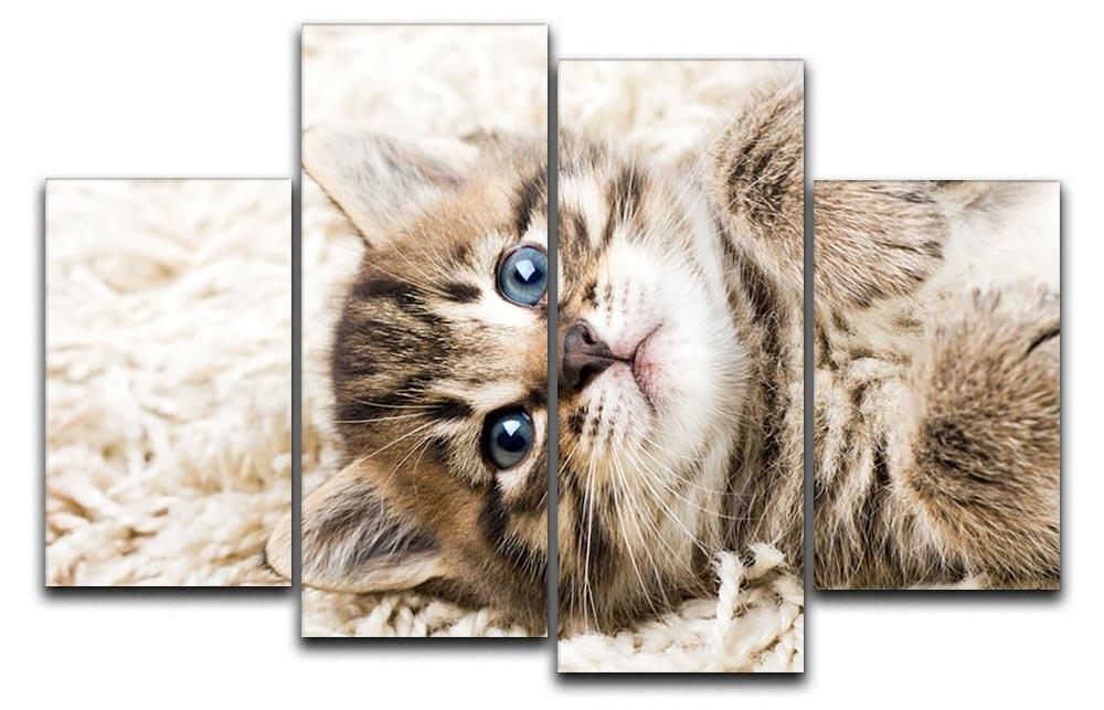 Funny kitten in carpet 4 Split Panel Canvas - Canvas Art Rocks - 1