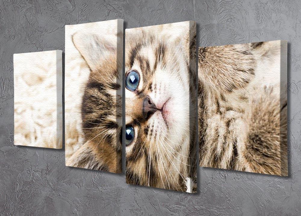 Funny kitten in carpet 4 Split Panel Canvas - Canvas Art Rocks - 2