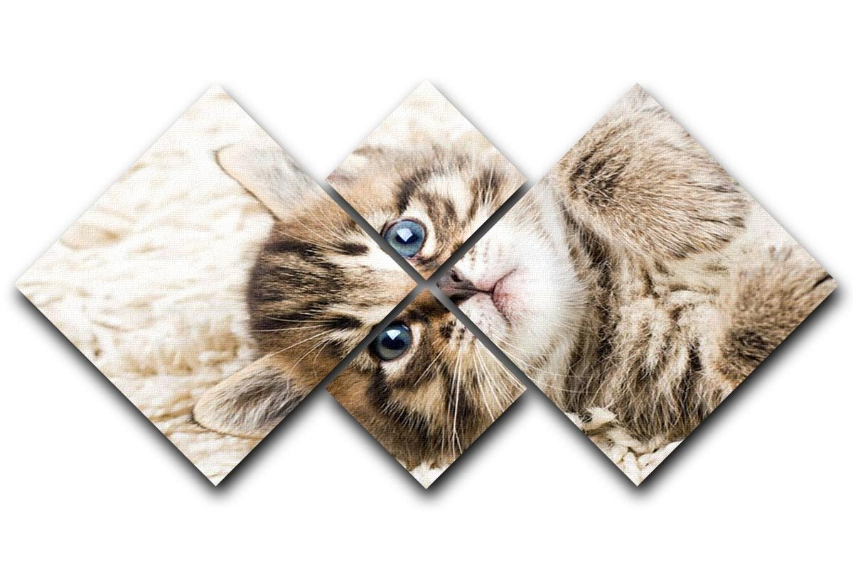 Funny kitten in carpet 4 Square Multi Panel Canvas - Canvas Art Rocks - 1