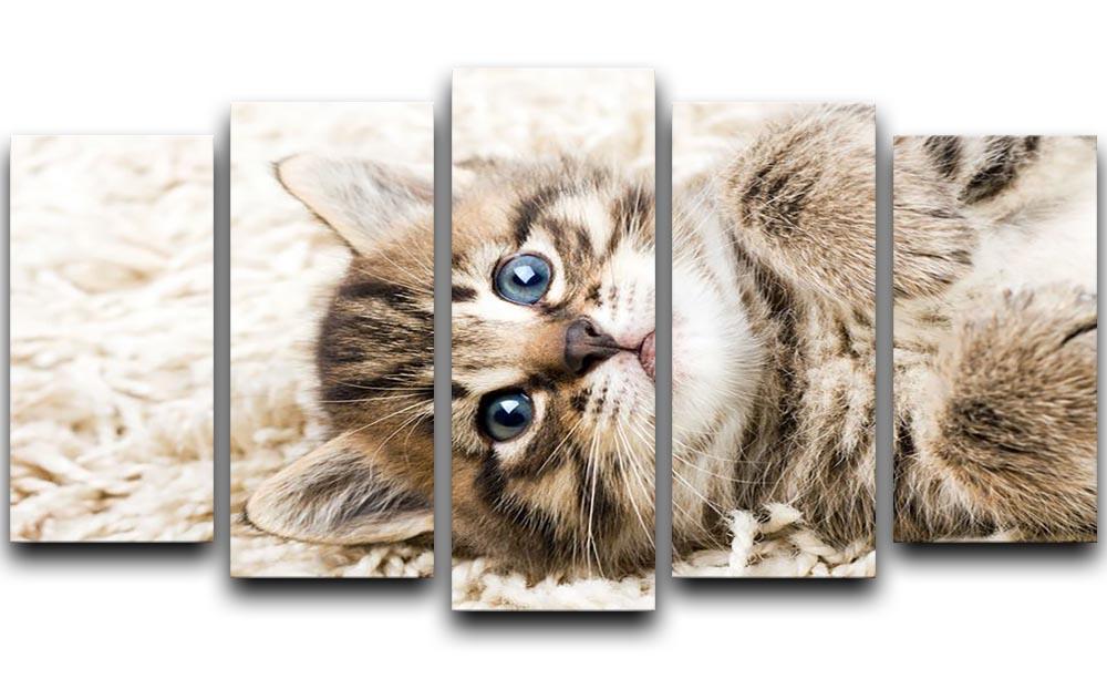 Funny kitten in carpet 5 Split Panel Canvas - Canvas Art Rocks - 1