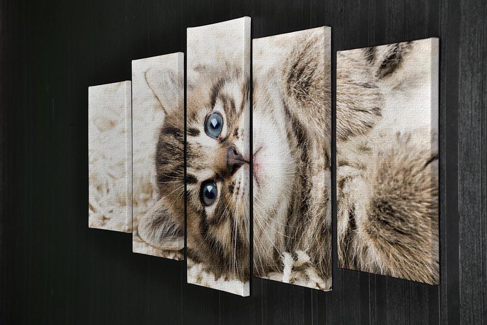 Funny kitten in carpet 5 Split Panel Canvas - Canvas Art Rocks - 2