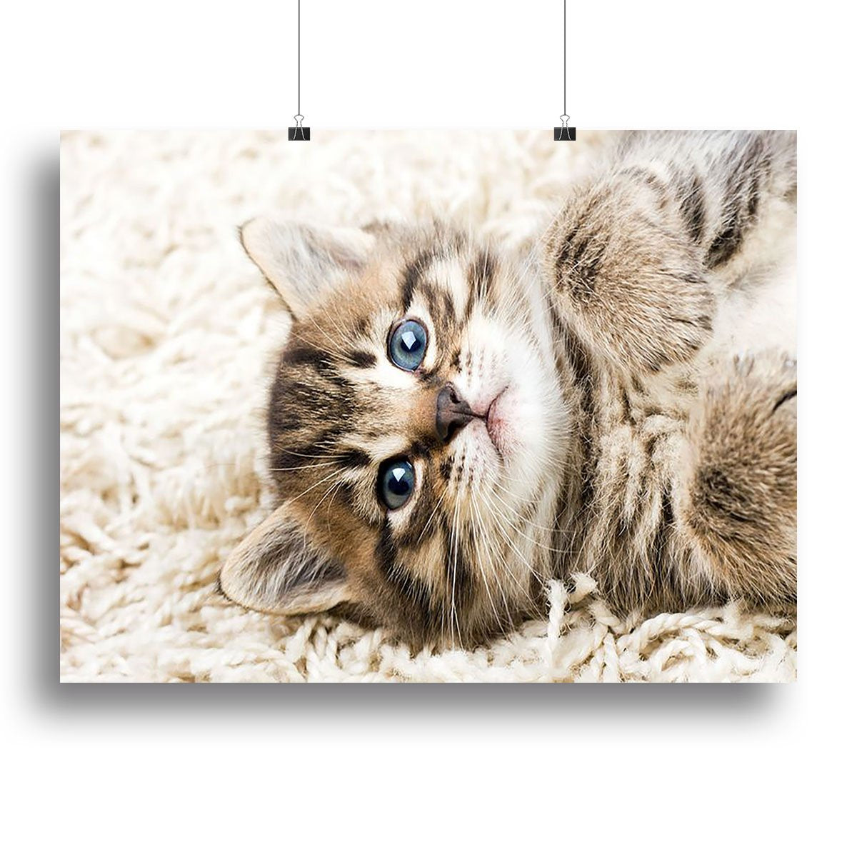 Funny kitten in carpet Canvas Print or Poster