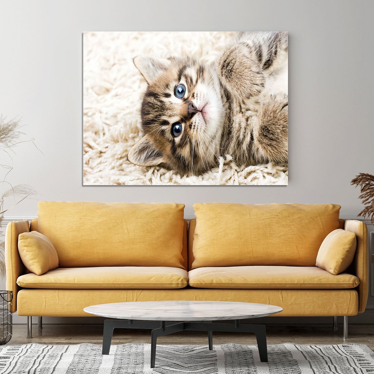 Funny kitten in carpet Canvas Print or Poster