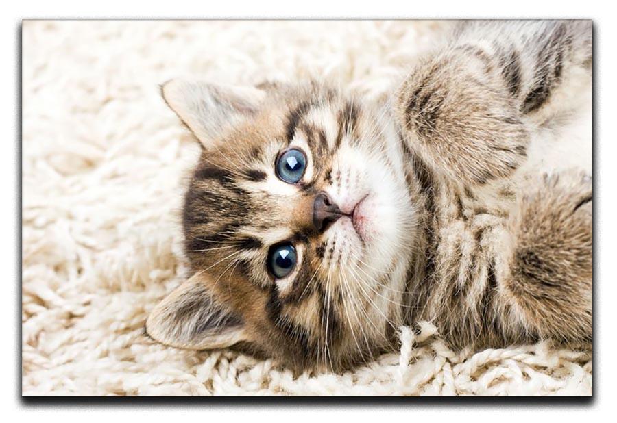 Funny kitten in carpet Canvas Print or Poster - Canvas Art Rocks - 1