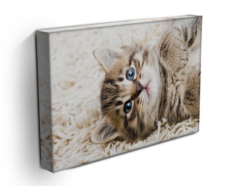 Funny kitten in carpet Canvas Print or Poster - Canvas Art Rocks - 3