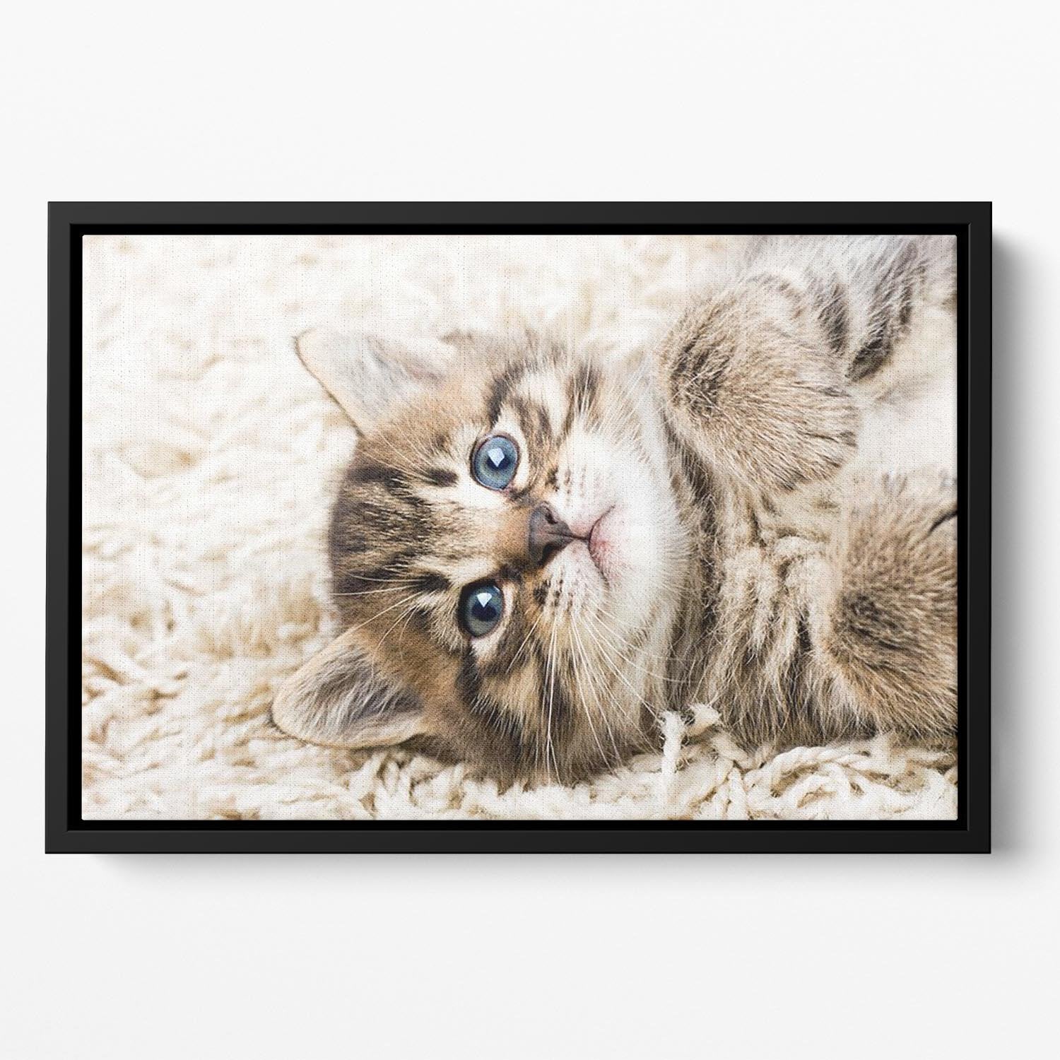 Funny kitten in carpet Floating Framed Canvas - Canvas Art Rocks - 2